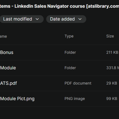 BowTiedSystems – LinkedIn Sales Navigator Course
