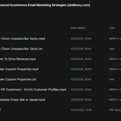 Chase Dimond – Advanced Ecommerce Email Marketing Strategies