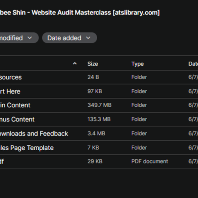 Danbee Shin – Website Audit Masterclass