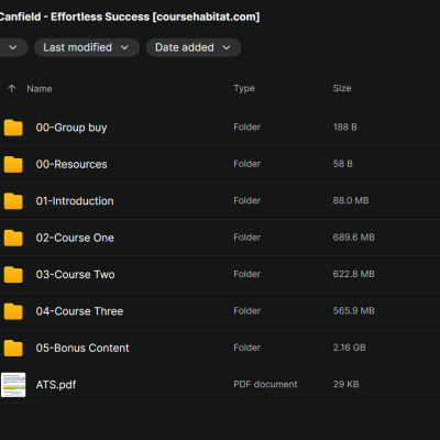 Jack Canfield – Effortless Success