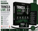 Morpheus Education – Trincea Live 2.0