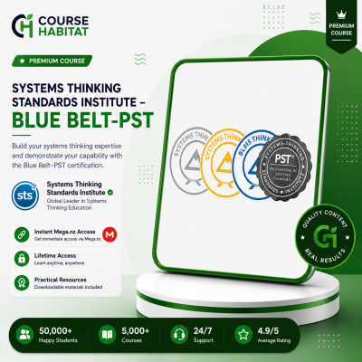 Systems Thinking Standards Institute – Blue Belt-PST