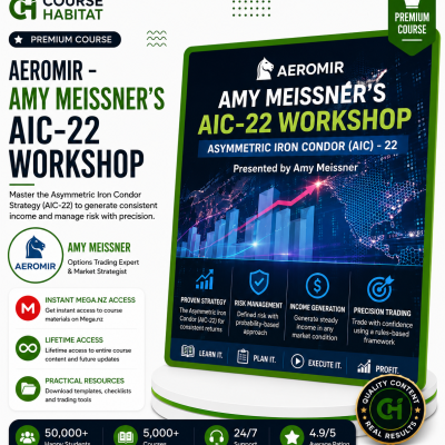 Aeromir – Amy Meissner’s AIC-22 Workshop