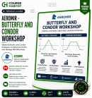 Aeromir – Butterfly and Condor Workshop