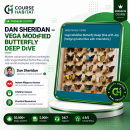 Dan Sheridan – Vega Modified Butterfly Deep Dive