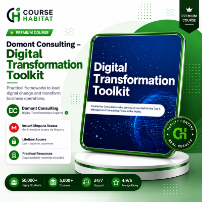 Domont Consulting – Digital Transformation Toolkit