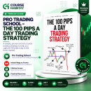 Pro Trading School – The 100 Pips a Day Trading Strategy